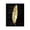 Gilded Curved Feather, variant on Stupell Industries Contemporary Feather On Black Canvas Art, 16 x 20, by Kim Allen