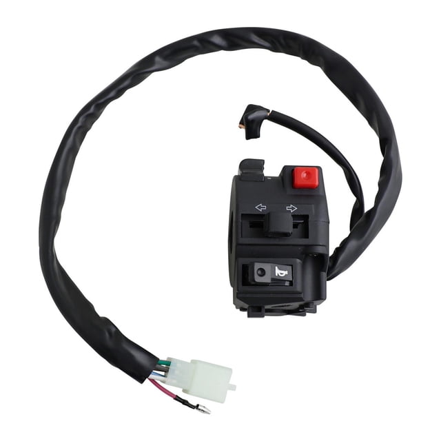 Conmutador Izquierdo RODA Veloci Xeverus 250 (21) 12V multicolor