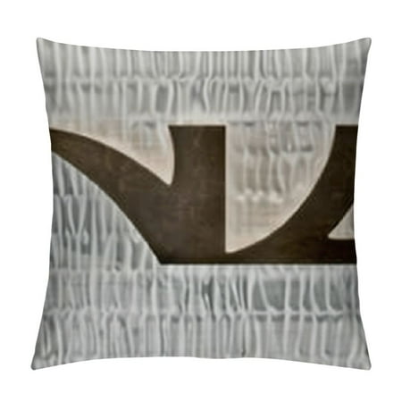 YINGXI Nursing Student Pillow Cover - Nursing School Gifts Throw Pillow Covers Gift Pillowcase Nursing Student Gifts Nursing Student Gifts for Women Funny Nurse Gifts 24x24in
