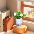 thumbnail image 4 of RBCKVXZ Home Decor Under $5,Lazy Flower Pot Automatic Water Absorption Plastic Pot Green Plant Water Culture,Home Essentials, 4 of 5