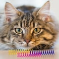 thumbnail image 5 of Deago 40 Pack Cat Spring Toys, Cat Kittens Toys Colorful Plastic Coil Spiral Springs for Swatting, Biting, Hunting, and Active Healthy Play, 5 of 7