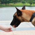 thumbnail image 4 of Portable Dog Water Bottle with Water Storage Container Dog Travel Water Bottle for Puppy Small Medium Dogs, 4 of 7