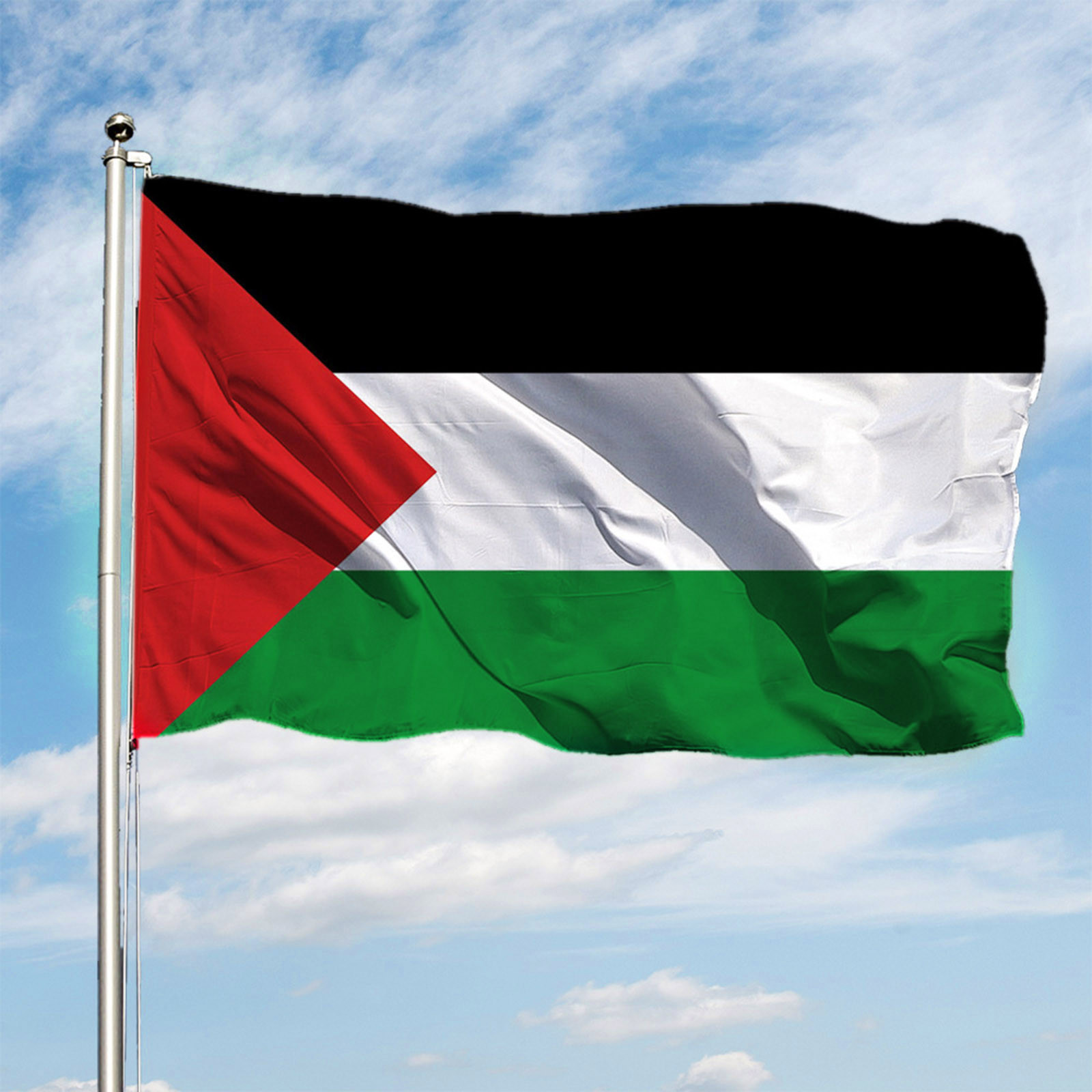 3x5 Foot Palestine Flag Uv Fade Resistant Canvas Header And Double Stitched