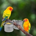 thumbnail image 4 of 1pc Parrot Feeder Standing Pole Feeder Accessory Pet Parrot Feeder Container, 4 of 8