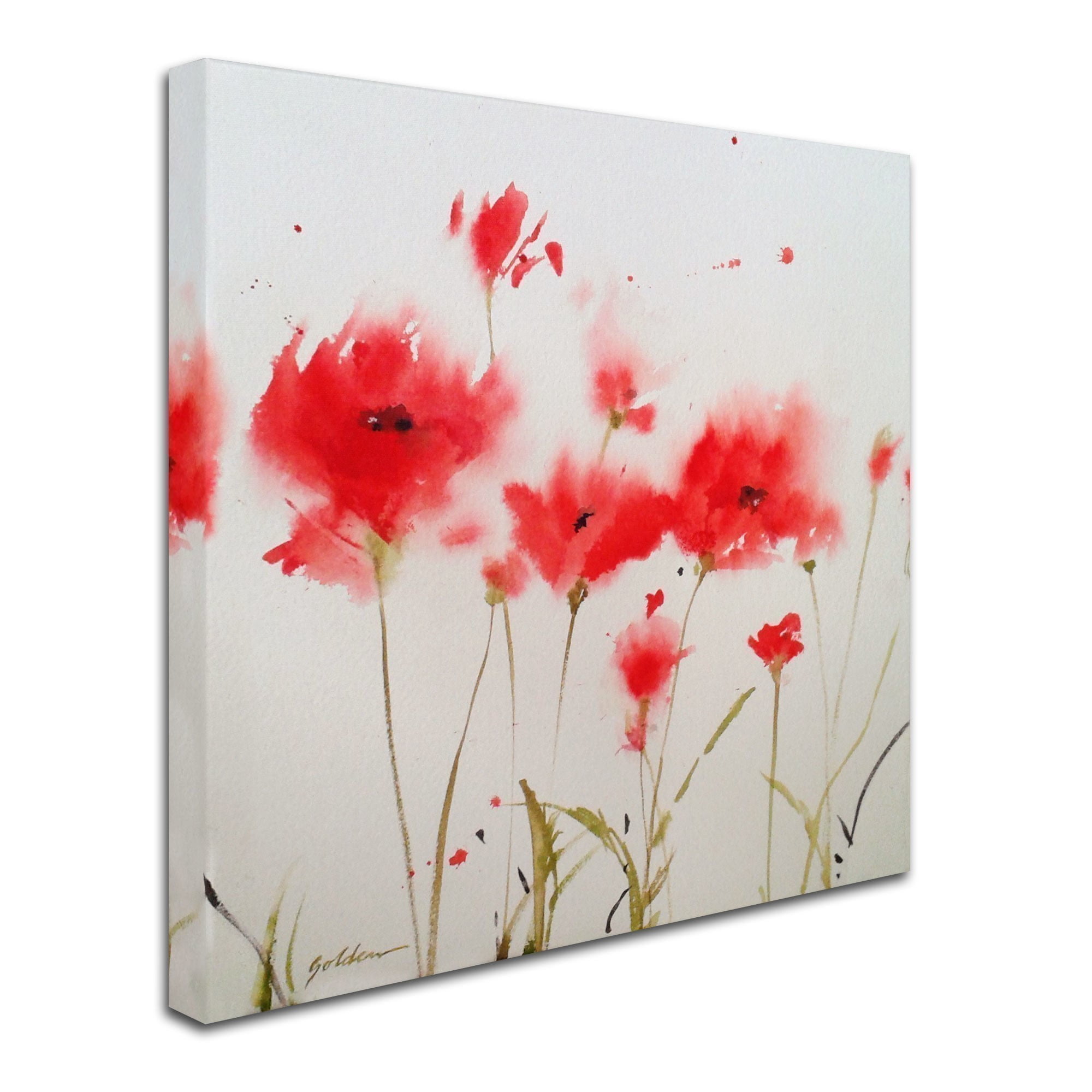 Trademark Fine Art "A Poppy Moment" Canvas Art by Sheila Golden