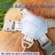 thumbnail image 4 of No Pull Dog Harness for Small Dogs,Safe Soft Dog Vest Harness No Escape, Easy Walking Step in Dog Harnesses Choke Free Quick Release (Blue, Medium), 4 of 4