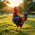 thumbnail image 6 of Breathable Poultry Chest Harness Leash Set Adjustable Mesh Chicken Duck Goose Walking Strap Outdoor Training Safety 2 Pack(L), 6 of 8