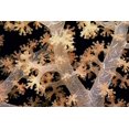 thumbnail image 2 of Factor, Beverly 18x13 Black Ornate Wood Framed with Double Matting Museum Art Print Titled - Splendid Branches - Fiji, 2 of 4
