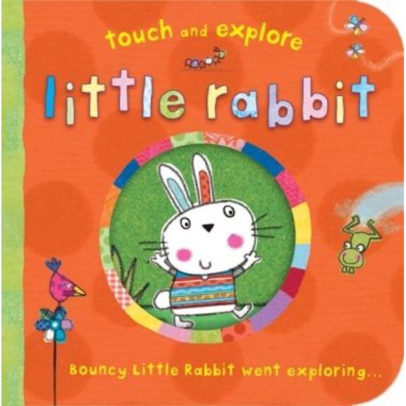 Pre-Owned Little Rabbit Touch and Explore (Touch and Explore), 9781848571693, 1848571690, Paperback,