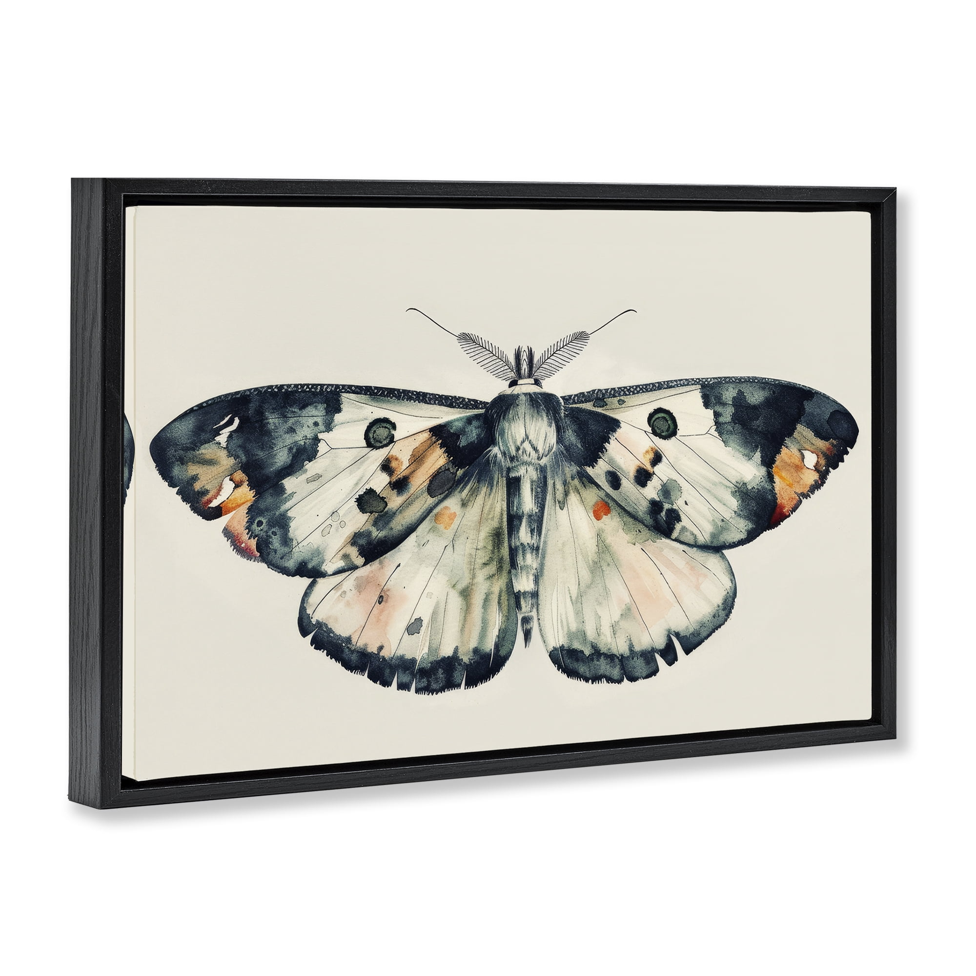 Stupell Industries Watercolor Black Trimmed Moth Animals Painting Black Floater Framed Canvas Art Print Wall Art, 25 x 17