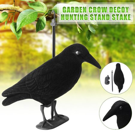 1/2/6/12pcs Flocked Crow Decoy Full Body Whole  Raven Shooting Hunting + Feet + Stand Stake Gift Costume US