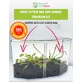 thumbnail image 2 of Live Venus Flytrap & Sundew Kit with Carnivorous Plant Food, Tweezers, Peat Pellets & 7.5" Clear Tank – Bug-Eating Indoor STEM Plant Gift Fly Trap, 2 of 6