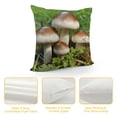thumbnail image 4 of GOSMITH Throw Pillow Cover - Egerling Disc Fungus Forest Screen Fungus white, 4 of 5