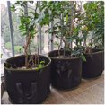 thumbnail image 3 of Juego de 5 bolsas para plantar YONGSHENG no tejidas de 7 galones con asa Negro, 3 of 4