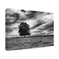 thumbnail image 2 of Aledanda 'Majestic' Canvas Art, 2 of 4