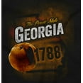 thumbnail image 2 of Georgia Peach State Pride Distressed Long Sleeve TShirt Men Women Brisco Brands S, 2 of 6