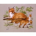 thumbnail image 2 of A Family Of Foxes Poster Print By Malcolm Greensmith ® Adrian Bradburymary Evans (24 X 18), 2 of 4