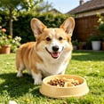 thumbnail image 5 of 1pack Slow Feeder Dog Bowls Anti-Choking Puzzle Dog Food Bowls Anti-Slip Interactive Feeding Slow down Eating Bloat Stop Maze Dishes for All Breeds,Yellow, 5 of 5