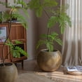 thumbnail image 4 of Round Magnesium Clay Planter, 4 of 10