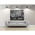 thumbnail image 2 of Tree of Wisdom Photography Canvas Art 30 x 20, 2 of 5
