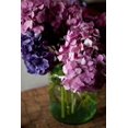thumbnail image 1 of Hydrangeas VI Poster Print by Karyn Millet (12 x 18), 1 of 1