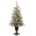 thumbnail image 4 of National Tree Company 4 ft. Pre-Lit Feel Real® Artificial Iceland Fir Christmas Entrance Tree, Green, Flocked, 100 Clear Lights, Silver Pedestal Urn, 4 of 6