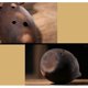 thumbnail image 2 of Flauta Xun china profesional 10 F agujeros patrón de loto de cerámica Ocarina instrumento de viento antiguo decoración del hogar para artista artista principiante, 2 of 4