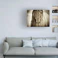 thumbnail image 2 of Trademark Fine Art Lisa Dearing Mustang Sally Horse Canvas Wall Art - 18x24, 2 of 5