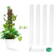 thumbnail image 3 of Moss Pole for Plants Plant Support Poles Indoor Potted Plant Sticks Support Train Creepers Plants to Grow Upward, 3 of 5