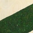 thumbnail image 4 of WEUVEB Paisajismo Con Césped Artificial Duradero Para Interior Y Exterior Verde, 4 of 6