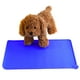thumbnail image 5 of FAGINEY Tapete de Alimentación de Silicona Antideslizante para Mascotas con Diseño de Borde de Plato, Azul, 5 of 7