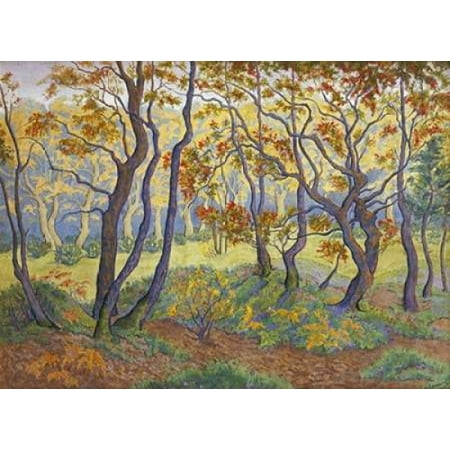 The Clearing Canvas Art - Paul Ranson (18 x 24)