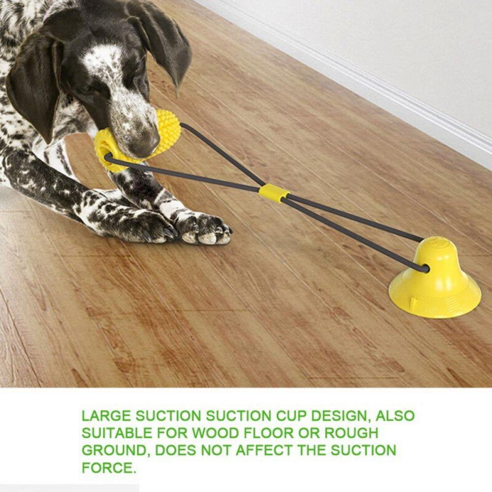 Dog toy that suctions to the floor hot sale