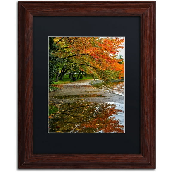 Trademark Fine Art "Tidal Basin Autumn 1" Canvas Art by CATeyes, Black Matte, Wood Frame