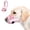 Pink, variant on Dog Muzzle with Escape-Proof Elastic Neck Collar, Soft Breathable Air Mesh Mouth Cover Stops Biting Barking Chewing Allows Drinking Panting, Adjustable Muzzle for Small Medium Large Dogs