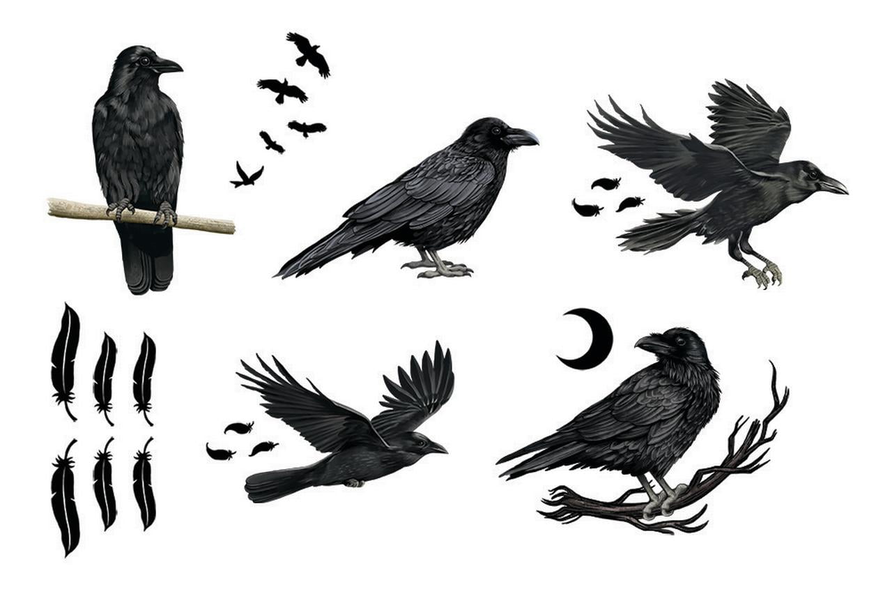 Three  Matte Black Crow or Ravens Permanent Vinyl Decal Sticker for wood sign water bottle cell phone car window lap top DYI projects