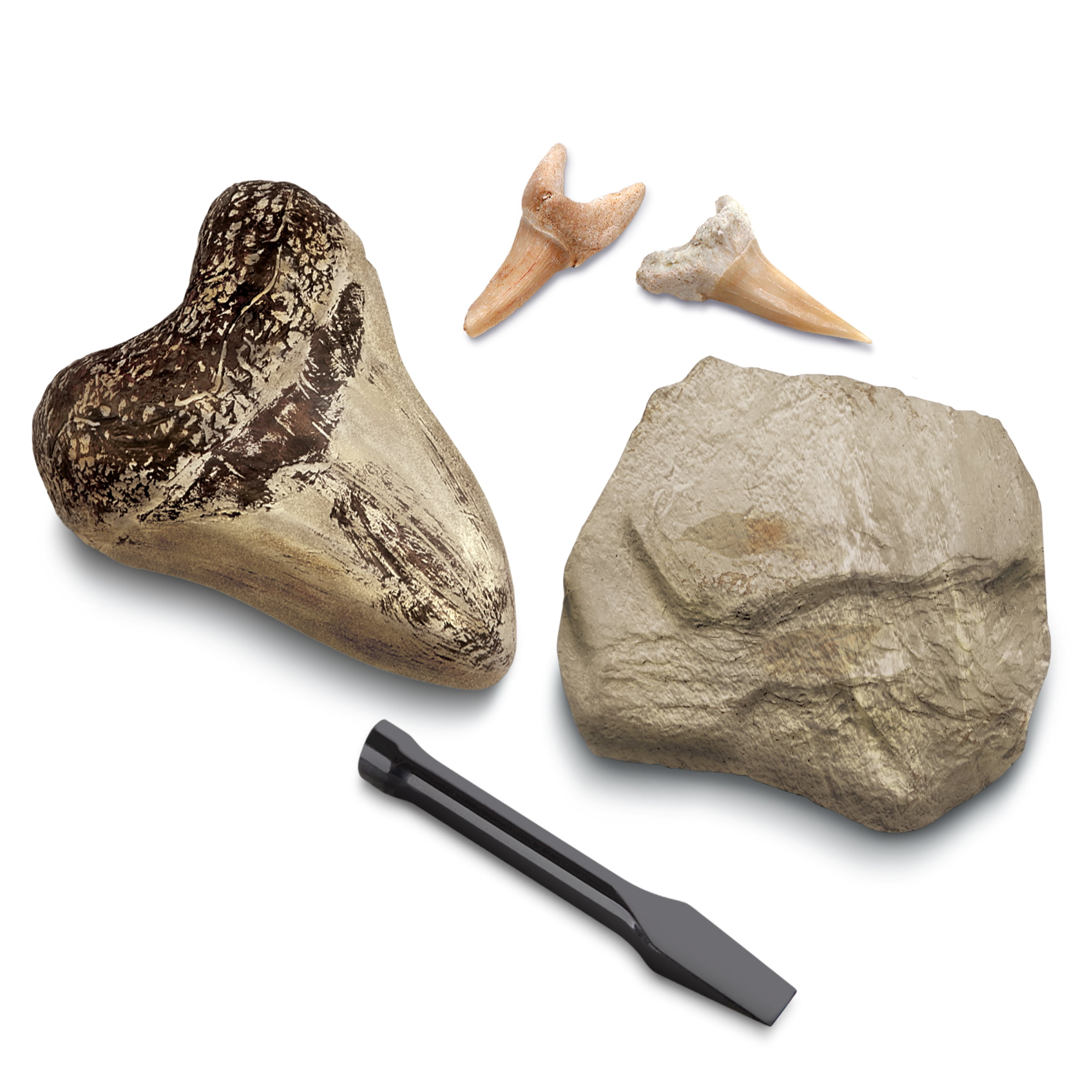 Discovery MINDBLOWN Mini Fossil Dig Set, 2 Pack Real Shark Teeth