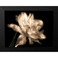 thumbnail image 2 of Britt, Charles 14x12 Black Modern Framed Museum Art Print Titled - Double Dappled II, 2 of 5