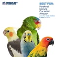 thumbnail image 4 of Apilador de pajitas Prevue Pet Products Calypso Creations para pájaros, 4 of 7