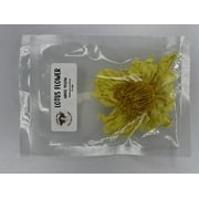 Witchy Pooh's Yellow Lotus Flower Loose Leaf Herbal Tea for Stress Relief and Sleep Aid, 1 Dried Flower