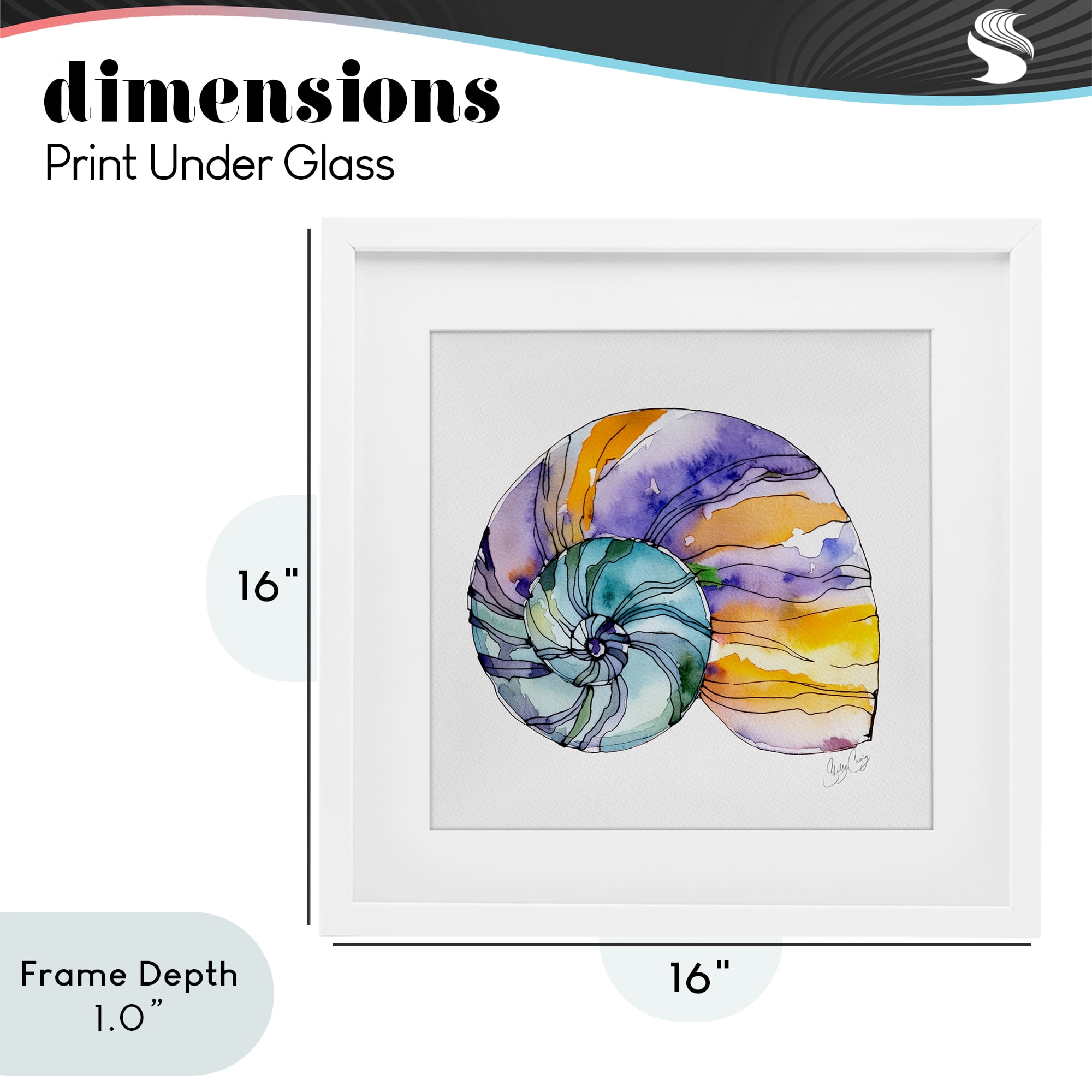 Stupell Industries Sunlit Striped Nautilus White Framed Print Under Glass, design by Shelly Craig