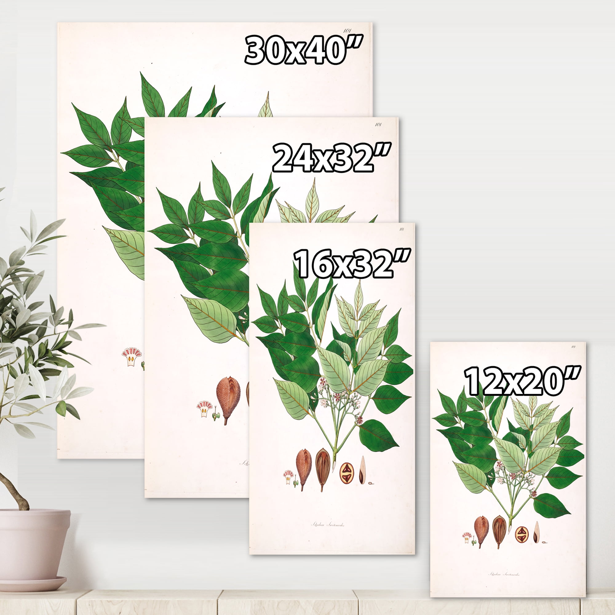 Ancient Plant Life XII 12 in x 8 in Painting Canvas Art Print, by Designart
