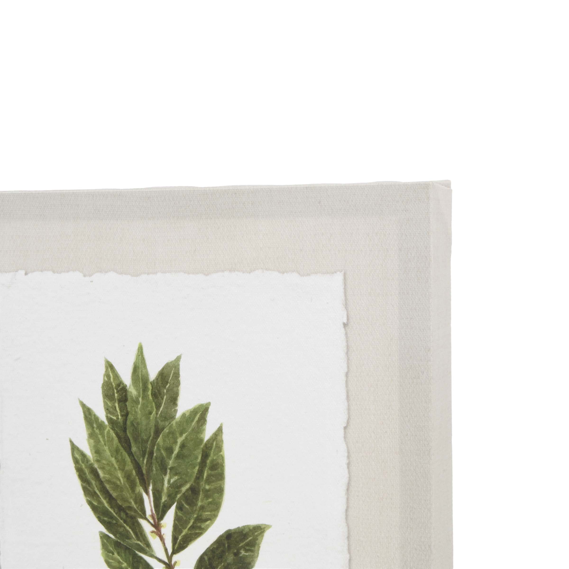 Ava Barrett Botanical Herbs 10.5" x 13.5" Multicolor Canvas Art Prints, Set of 6, by Prinz