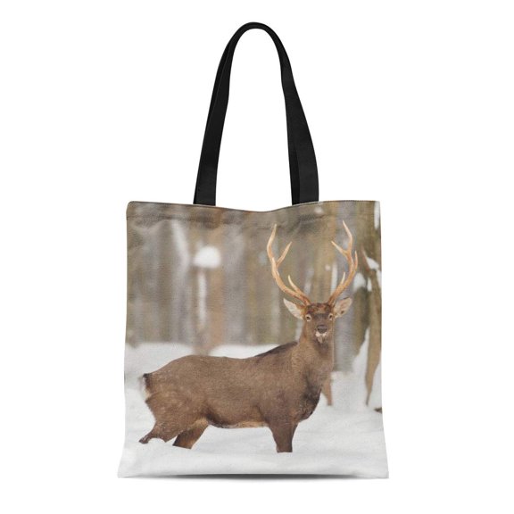 SIDONKU Canvas Bag Resuable Tote Grocery Shopping Bags Brown Dear Young Deer in Winter Forest Green Head Face Tote Bag