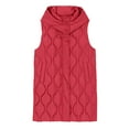 thumbnail image 1 of Veste Décontractée pour Femmes, Manteau Mode Uni, Long, Ample, Léger, Confortable, Élégant, Polyvalent, 1 of 4