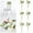 Light Yellow, variant on Elegant Flowers for Weddings and Events – Aisle Rose with Ribbons and Leaves for and Settings 6PCS