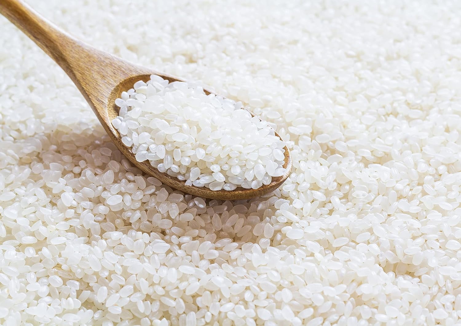 Organic Short Grain White Sushi Rice, 25 Pounds — Non-GMO, Kosher, Raw, Vegan — by Food to Live