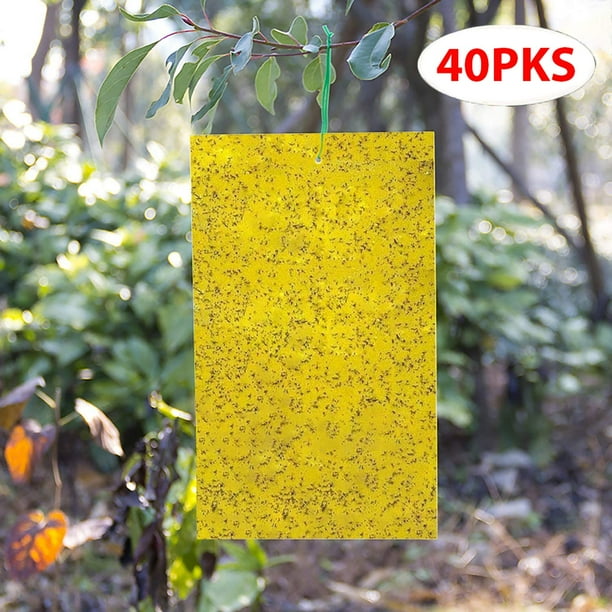 Lightsmax 40 Pack Dual Sided Yellow Sticky Traps Flying Plant Insect