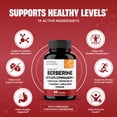 thumbnail image 5 of Blood Sugar Support Complex Supplement | Supports Healthy Blood Sugar Levels Already Within Normal Range | With Berberine, Cinnamon, Chromium, Turmeric, Apple Cider Vinegar, Bitter Melon, 60 Capsules, 5 of 10