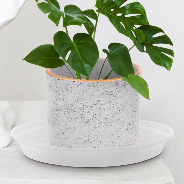 unbranded 12Ud Bandejas Plásticas Redondas Para Plantas De Interior Con Práctico Y Duradero